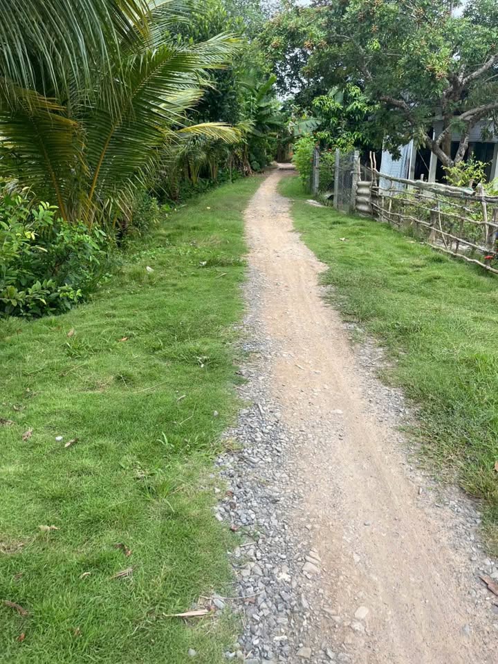 Đất vườn 1000m² xã Bình Hàng Trung, Đồng Tháp giá 630 triệu - Mặt tiền 10m, tiện ích đầy đủ!