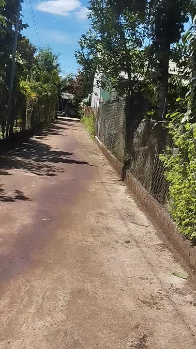 Đất nền Ia Yok, Ia Grai 360m² giá 400 triệu - Cơ hội đầu tư lý tưởng!