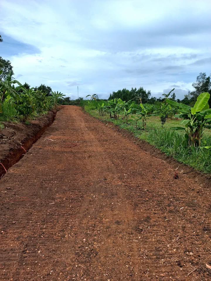 Đất thổ cư 13700m² tại thị trấn Ea Kar - Giá chỉ 1.855 tỷ VND!