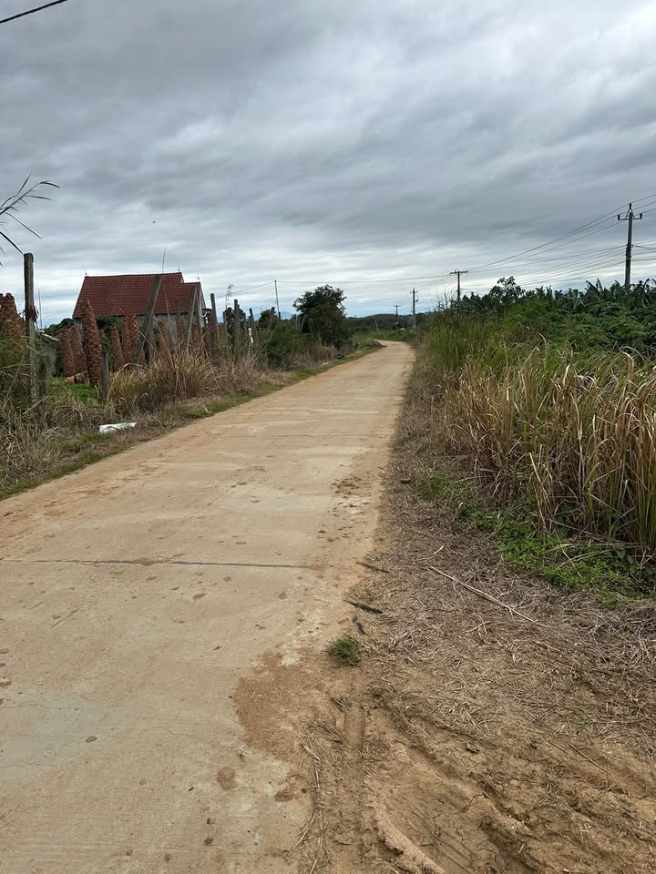 Đất thổ cư 1,3ha tại Xuân Phú, Ea Kar giá chỉ 100 triệu - Cơ hội đầu tư tuyệt vời!