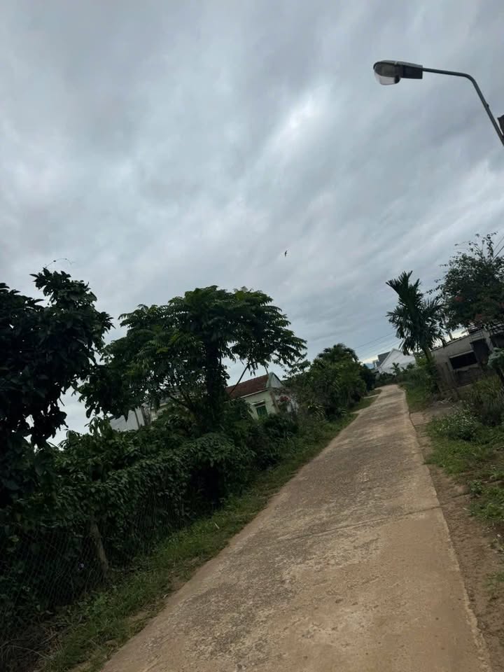 Đất nền Cư Ni 600m² giá chỉ 600 triệu - Cơ hội đầu tư tuyệt vời!