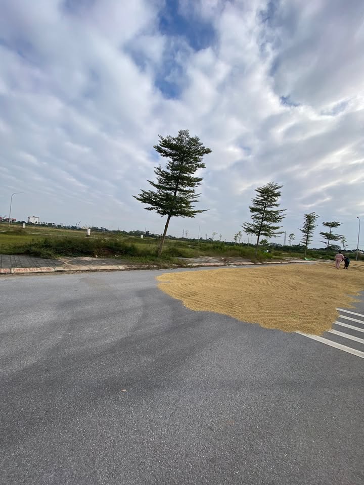 Đất nền Văn Phú xã Tam Đa Bắc Ninh 115m² giá 3 tỷ - Tiềm năng đầu tư cao!