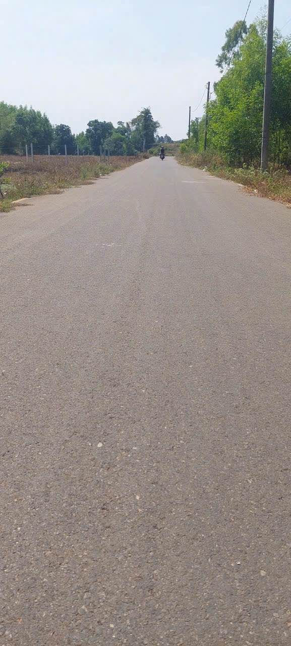 Đất liền kề mặt tiền đường Nhựa, Hắc Dịch, 670m² - Đầu tư sinh lời ngay!