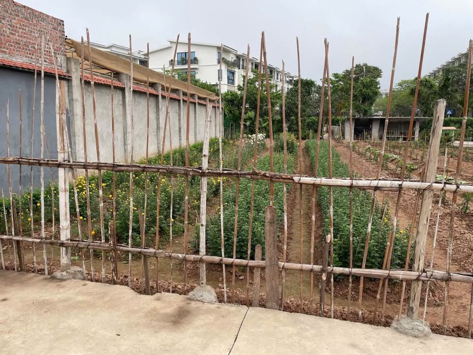 Đất nền phố Lý Anh Tông, Hải Dương 60m² giá 1.7 tỷ - Ngõ ô tô vào tận nơi!