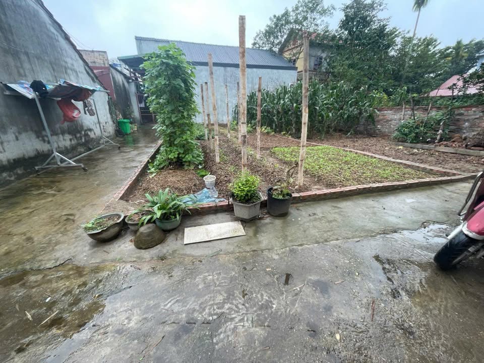 Đất Làng Nghề Tích Giang, Phúc Thọ 69m² giá 1 tỷ - Lô góc hiếm có, ô tô tận nơi!