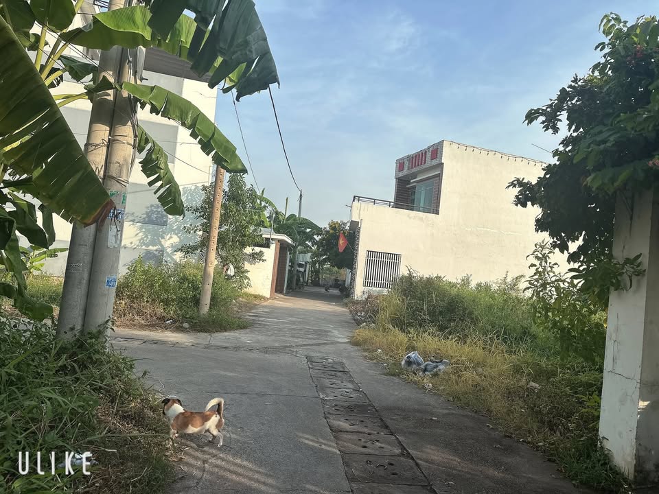 Lô đất Phước Hưng, Long Điền 161.1m² giá 2.3 tỷ - Khu dân cư đông đúc!