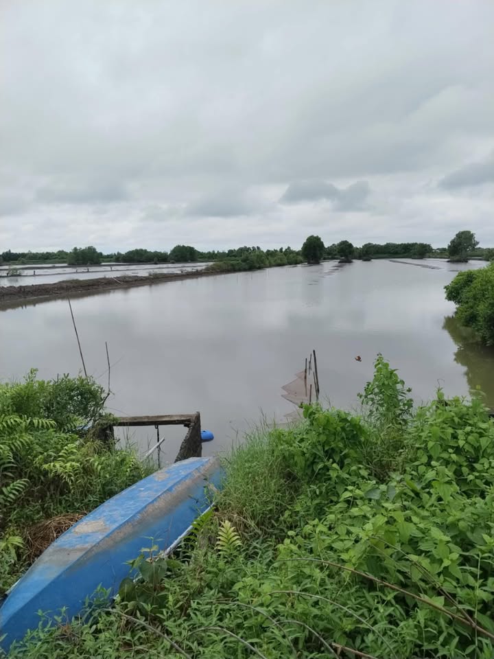 Đất nền Hiệp Tùng, Năm Căn, 128.000m² giá chỉ 85 triệu - Cơ hội đầu tư hấp dẫn!