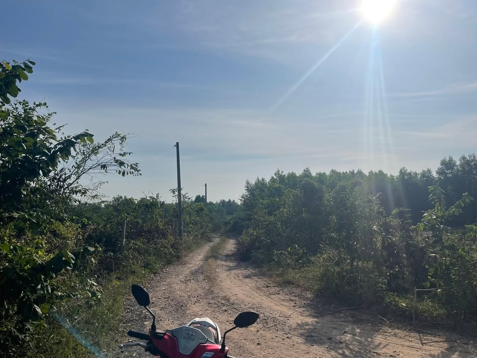 Đất vườn Phước An Nhơn Trạch 1103m² giá 3.5 tỷ - Địa điểm lý tưởng cho đầu tư!