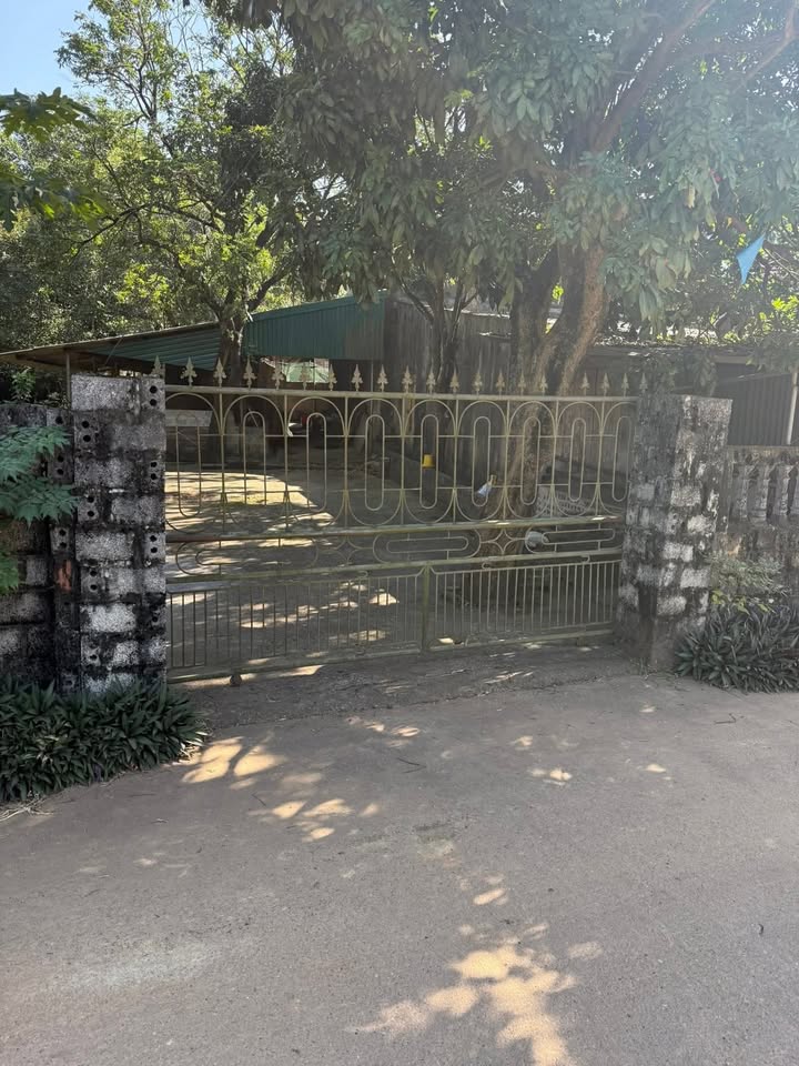 Đất thổ cư 210m² tại thôn Sải, Quỳnh Lưu - Giá chỉ 1 tỷ!