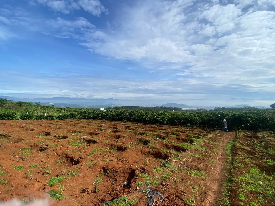 Đất nền 6300m² tại Tân Hà, Lâm Hà - Đường mặt tiền, giá chỉ 630 triệu!