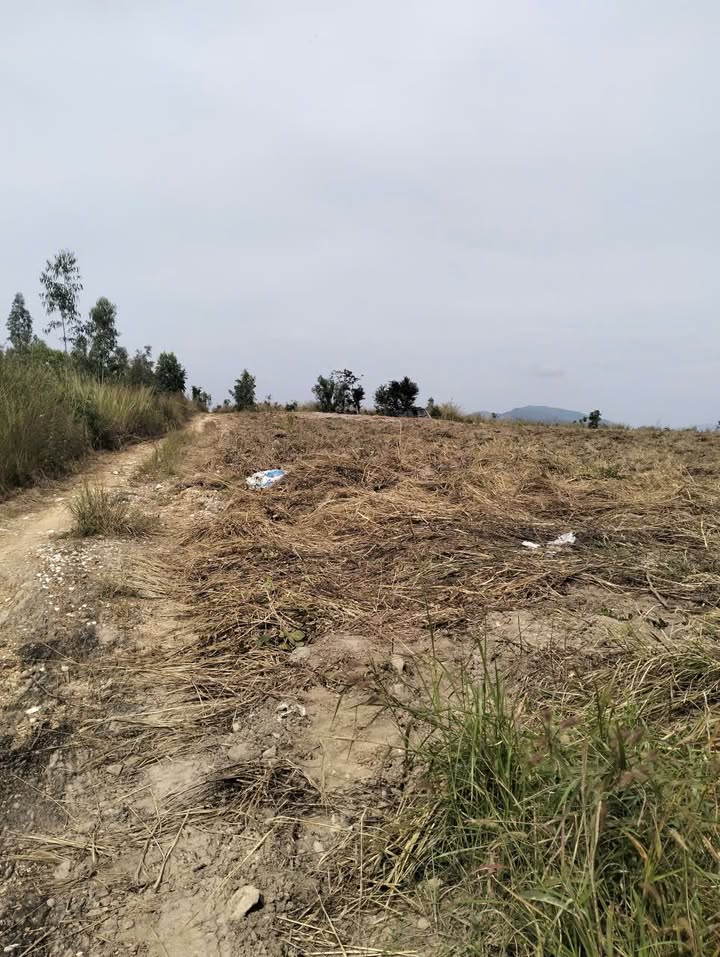 Đất nền 5 sào tại thôn Minh Tiến, Hàm Minh, 20.000m² - Cơ hội đầu tư hấp dẫn!