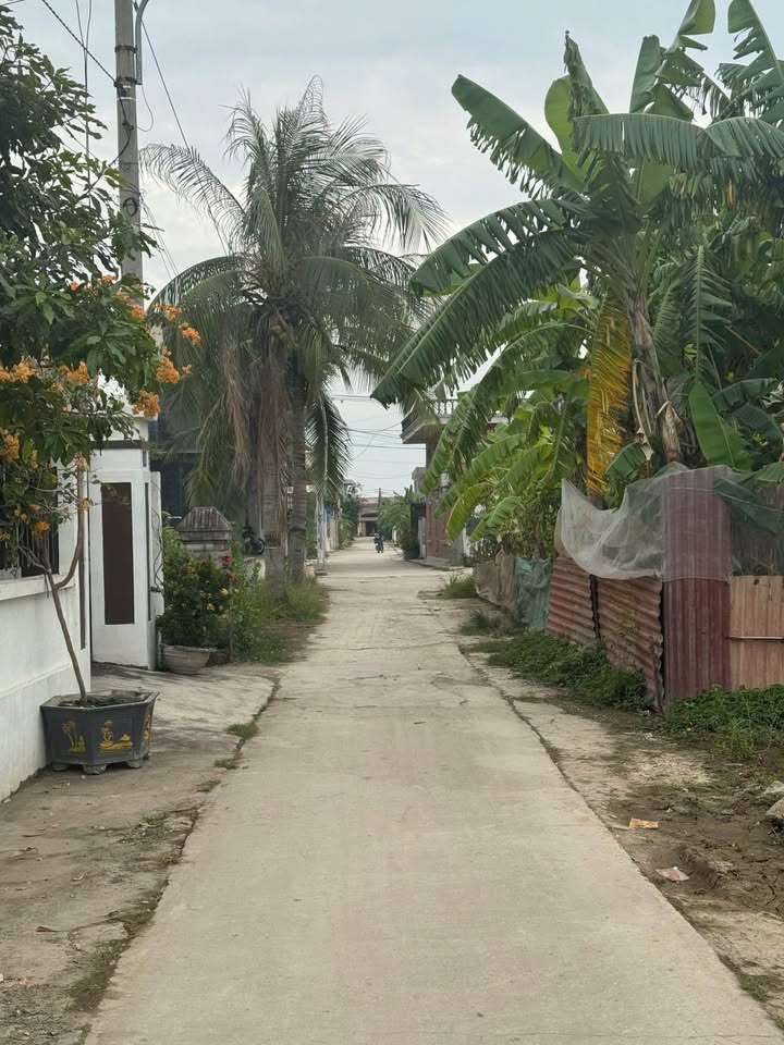 Nhà phố Tân Thành, Dương Kinh, Hải Phòng 126m² giá 2.3 tỷ - Cơ hội đầu tư hiếm có!