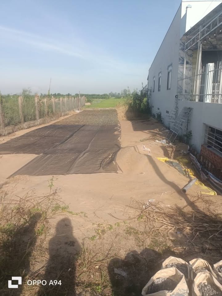 Đất nền mặt tiền đường tỉnh lộ 460m² giá 1.9 tỷ - Đầu tư sinh lời ngay!