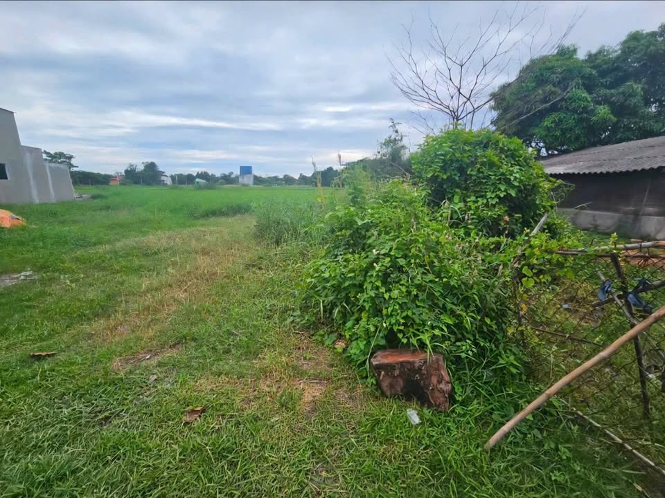 Đất nền ấp Bình Tả 2, xã Đức Hòa, 678m² - Cơ hội đầu tư hấp dẫn!