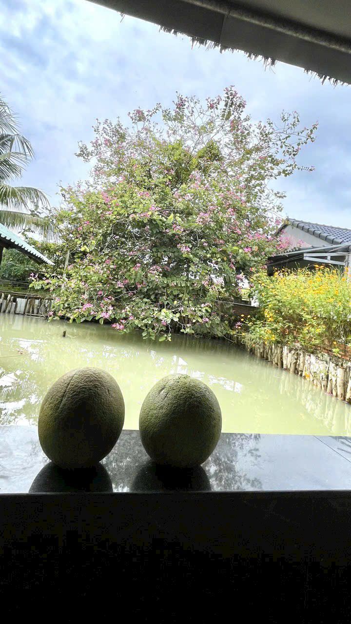 Nhà vườn xã Nhuận Đức, Củ Chi 1400m² giá 6.5 tỷ - Đường ô tô, khu dân cư đông đúc!