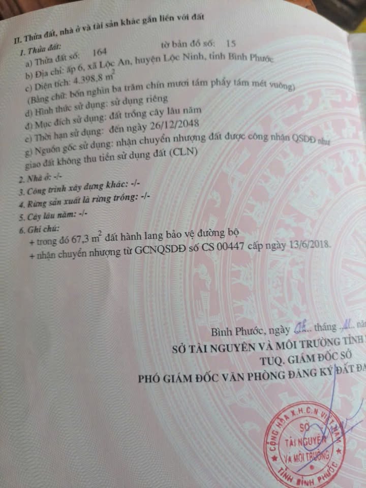 Đất nền ấp 6 Lộc An 40.000m² giá 850 triệu - Cơ hội đầu tư sinh lời!