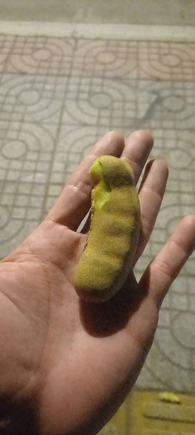 Đất nền Seaway Long Hải 135,6m² giá 3 tỷ - Đường đi bộ ra biển chỉ 5 phút!