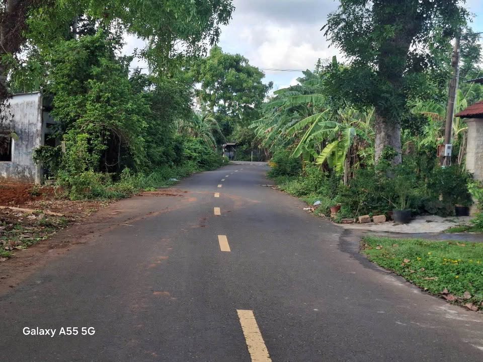 Đất bán mặt tiền đường Số 45, Hòa Long, 553m² - Giá 3.9 tỷ, nhanh tay sở hữu!