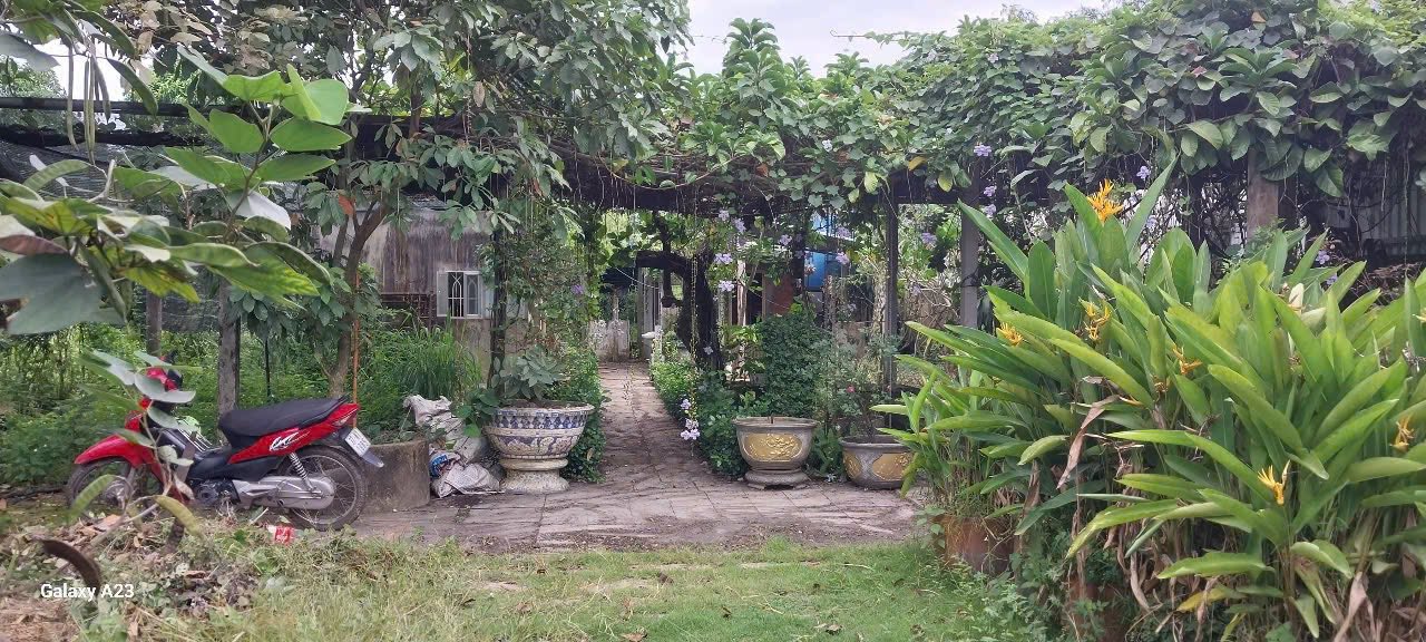 Đất nền Hòa Phú Củ Chi 1212.8m² giá 14.2 tỷ - Pháp lý rõ ràng, sang tên ngay!