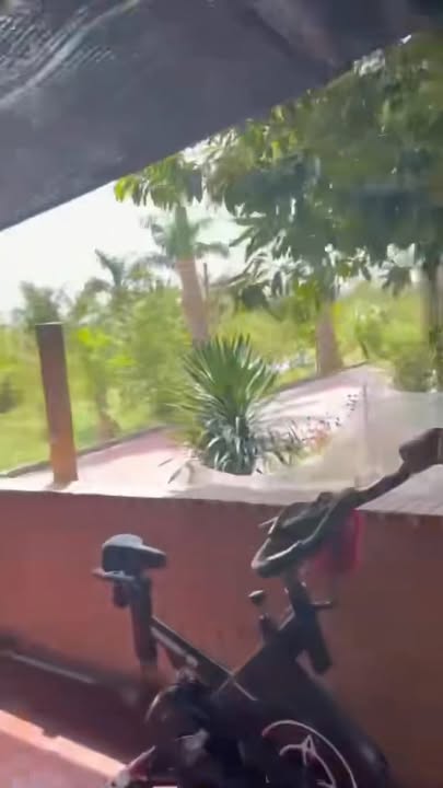 Đất Farm 6450m² tại xã Tân Nhựt, Bình Chánh - Giá chỉ 2.5 triệu/m²!