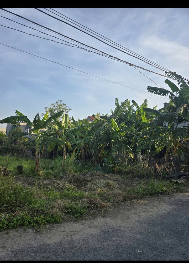 Đất nền thôn Bùi Tiến, xã Duyên Hải, huyện Hưng Hà, 174m² - Vị trí đẹp, giao thông thuận lợi!