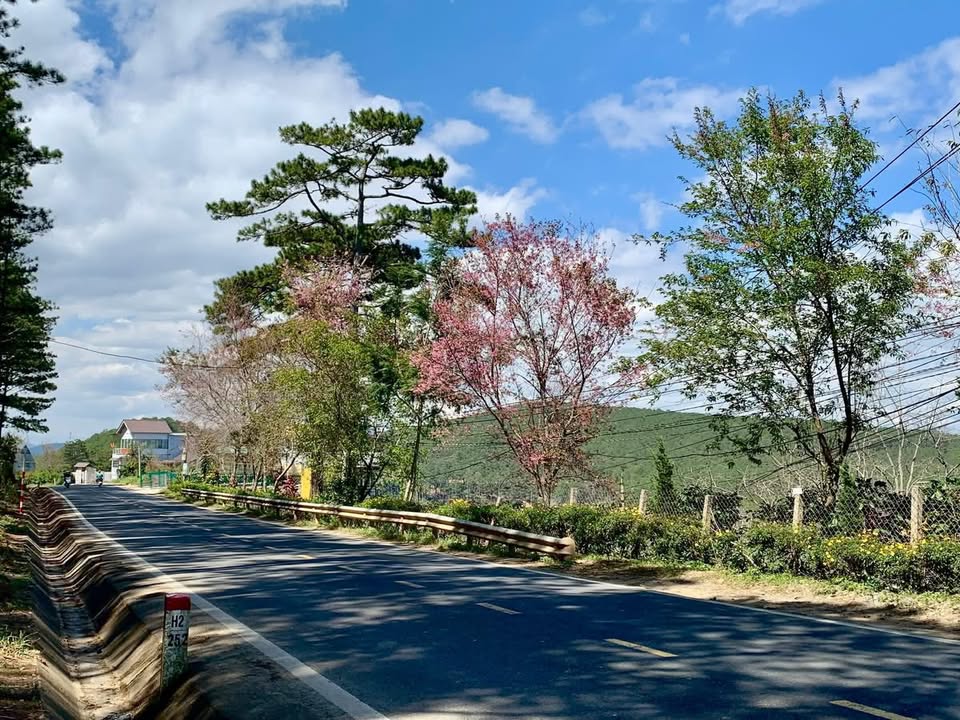 Đất nền Đà Lạt 1200m² giá 8 tỷ - Tiềm năng đầu tư vượt trội!