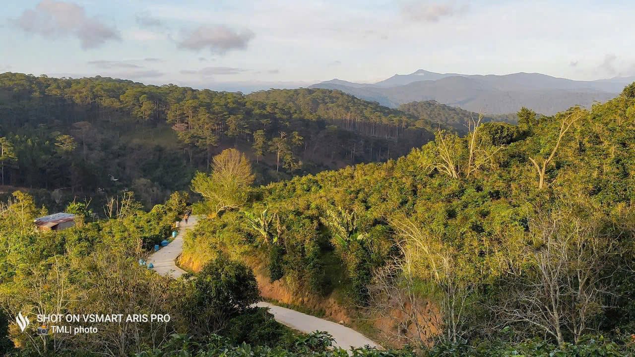 Đất nông nghiệp Trạm Hành Đà Lạt 2139m² giá 2.7 tỷ - Đầu tư sinh lời!