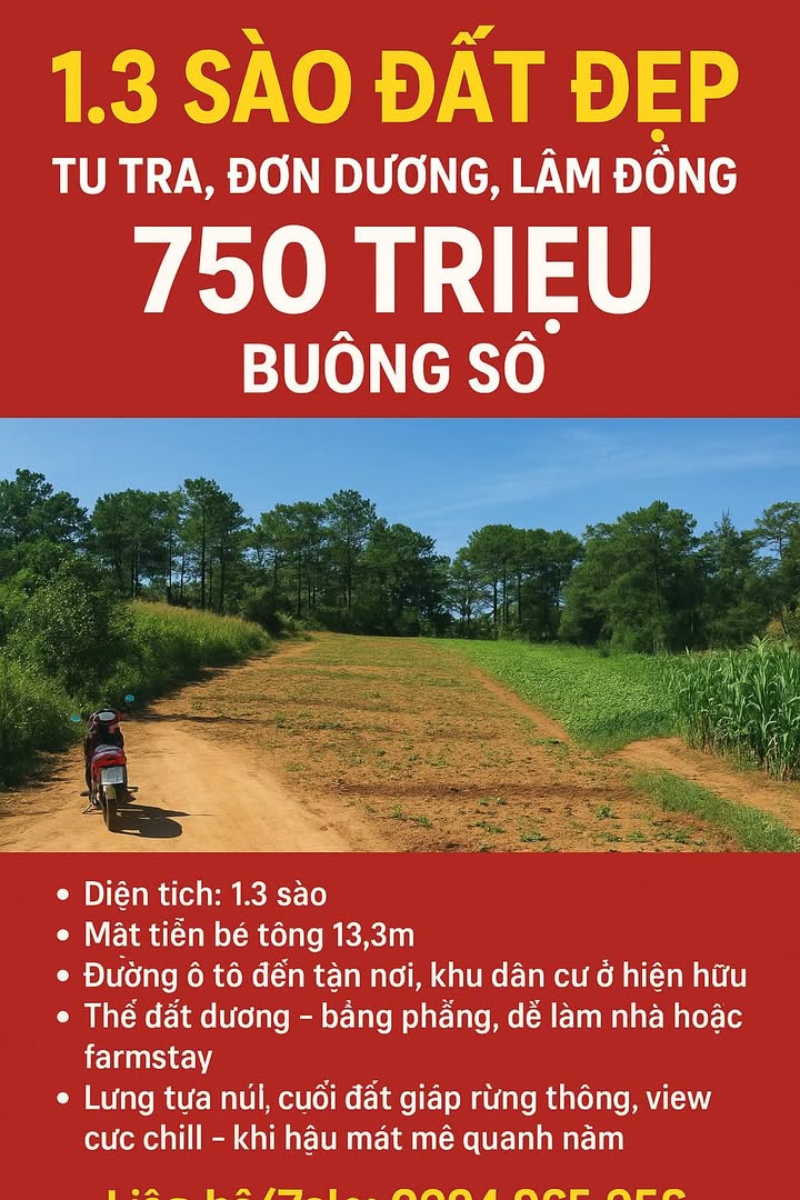 Đất nền 1.3 sào tại Tu Tra, Đơn Dương, Lâm Đồng - Giá chỉ 750 triệu, view rừng thông tuyệt đẹp!