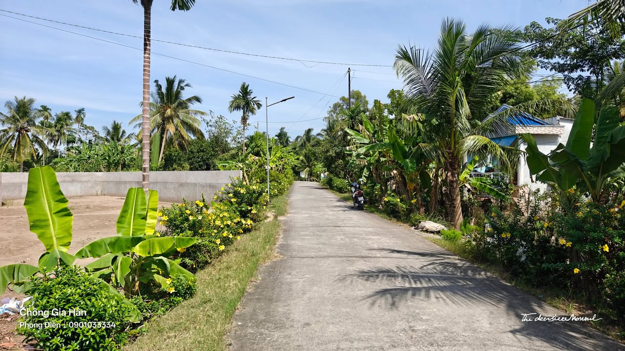 Đất nền 300m² Nhơn Ái Phong Điền giá 850 triệu - Sổ hồng chính chủ, xây dựng tự do!