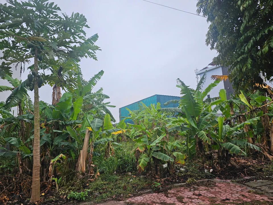 Đất nền khu đô thị phía Tây cầu Phú Lương 256m² giá 45.056 tỷ - Tiềm năng sinh lời cao!