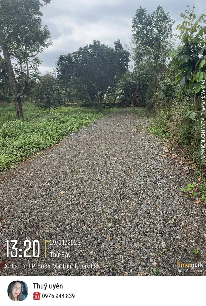 Đất nền 500m² đường Nguyễn Xuân Nguyên, Tân An - Giá chỉ 590 triệu, bớt lộc!