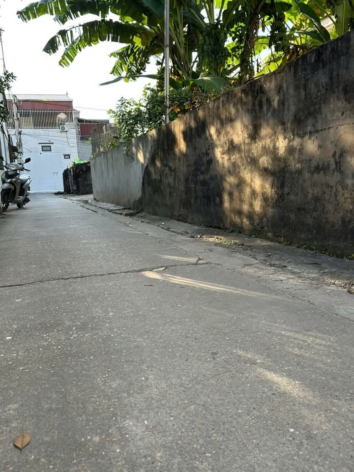 Đất nền An Lãng, Văn Tự 50m² giá 2 tỷ - Đầu tư ngay hôm nay!