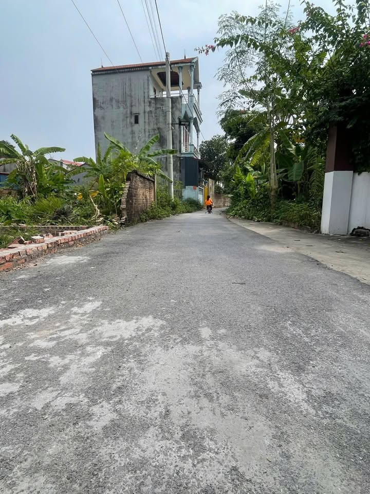 Đất nền Mão Điền, Thuận Thành, Bắc Ninh 82m² giá 2 tỷ - Tiềm năng phát triển mạnh mẽ!