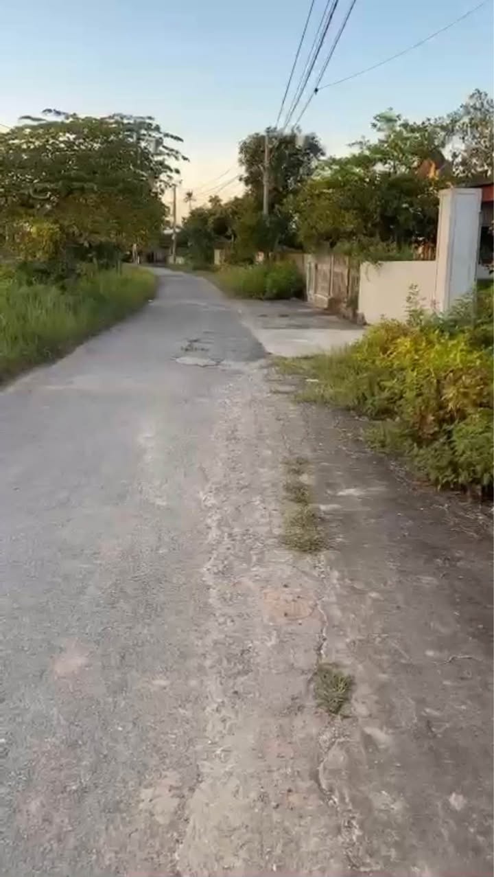 Đất đấu giá Thuần Thành Thái Thụy 149.5m² giá chỉ 9.xx triệu/m² - Đầu tư sinh lời ngay!