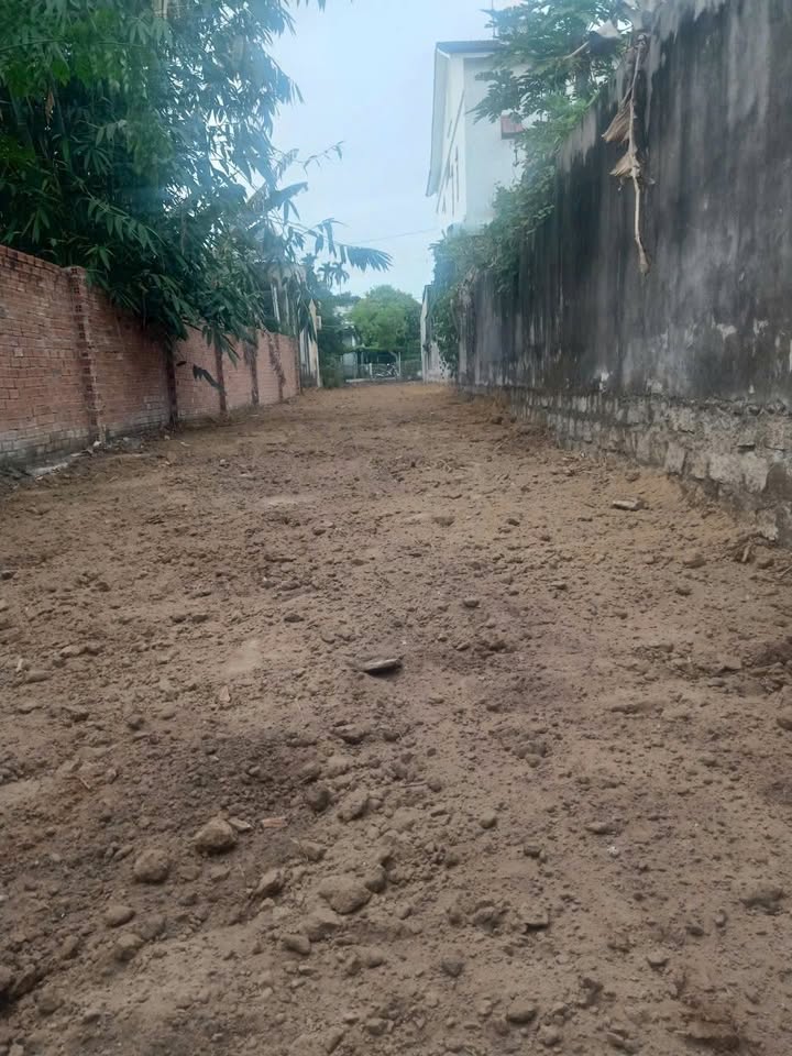 Đất thổ cư 256m² mặt tiền đường Số 3, Bà Rịa - Giá 2.85 tỷ - Kinh doanh thuận lợi!