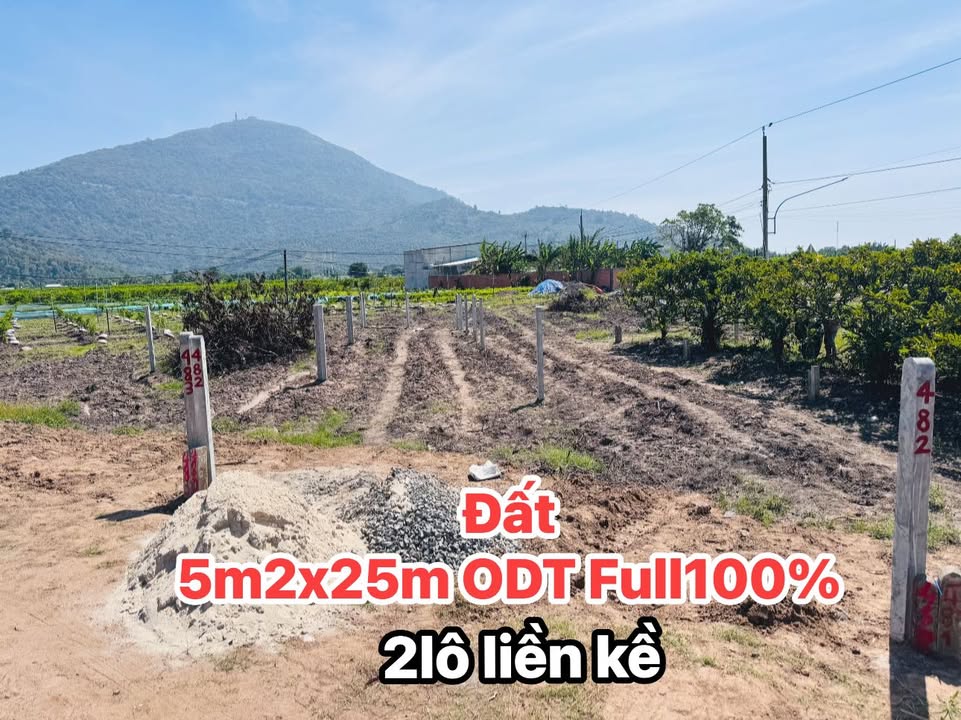 Đất nền Bình Minh Tây Ninh 125m² giá 329 triệu - Vị trí đẹp, dân cư đông đúc