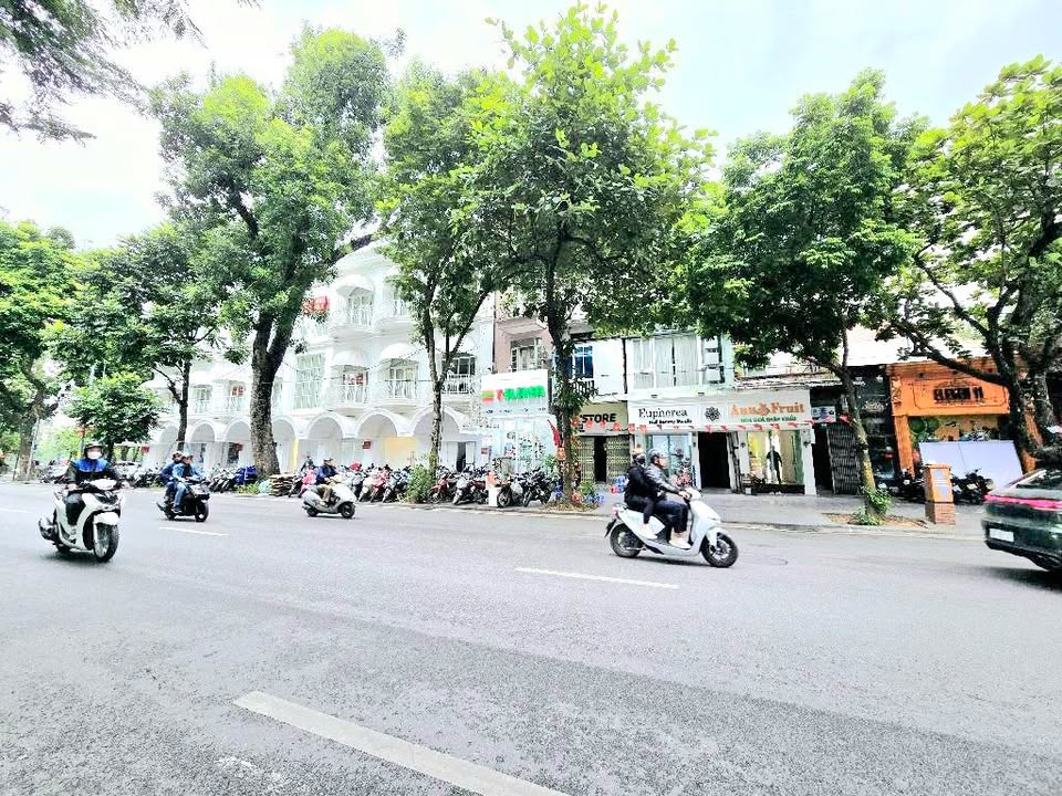 Mặt phố Bà Triệu, quận Hai Bà Trưng, 220m² giá 200 tỷ - Sổ hồng chính chủ, cơ hội đầu tư hấp dẫn!