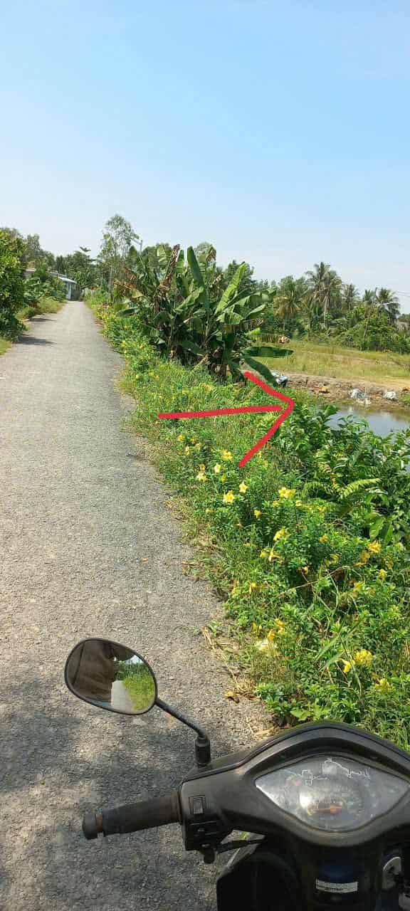 Đất nền Long An, huyện Long Hồ, diện tích 3302m² giá 950 triệu - Cơ hội đầu tư hấp dẫn!