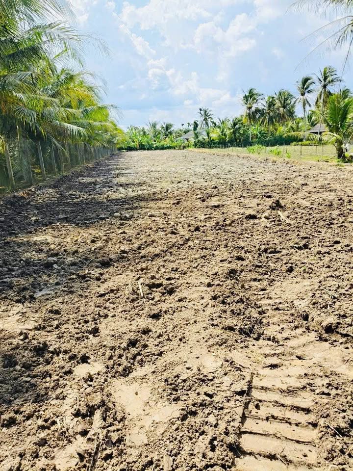 Đất nền Ấp Phước Hoà, Mỹ Tho 148m² giá 400 triệu - Đường ô tô vào tận nơi!