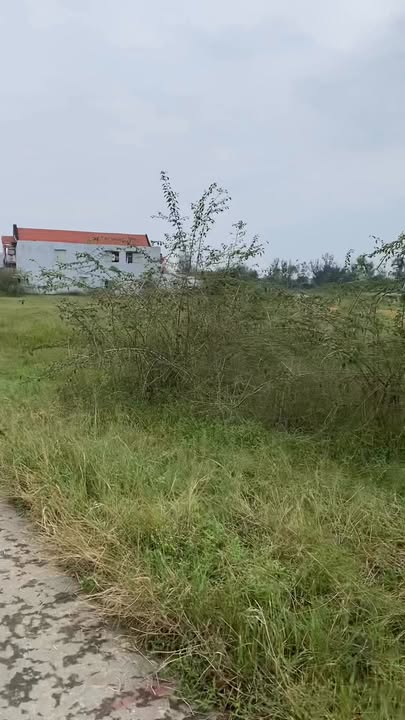 Đất nền Điện Nam Đông 200m² giá 100 triệu - Thích hợp xây phòng trọ