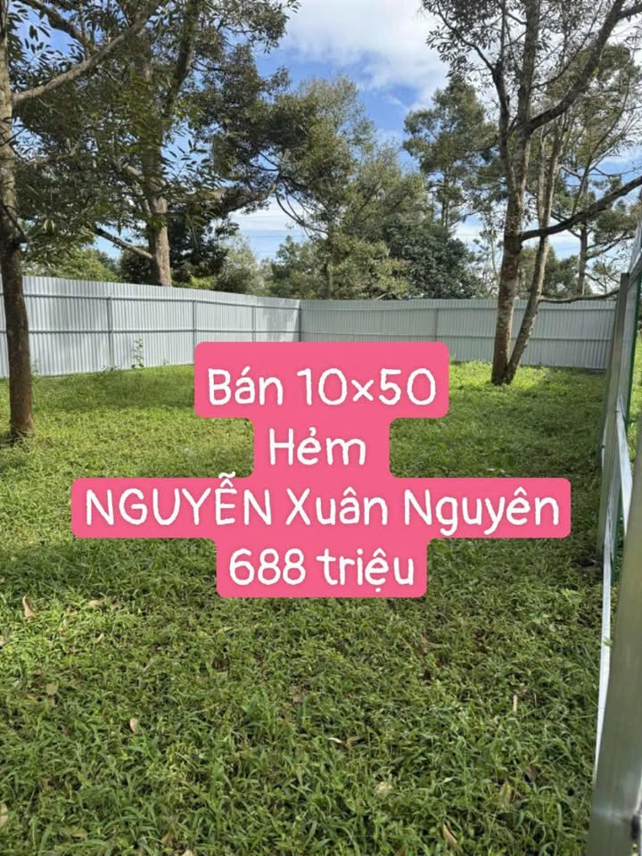 Đất sào Nguyễn Xuân Nguyên Tân An 500m² giá 600 triệu - Làm nhà vườn lý tưởng!