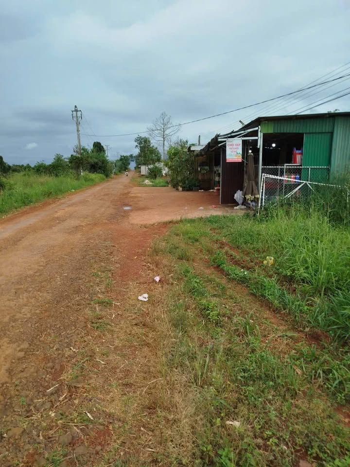 Đất mặt tiền đường nhựa phường Nam Gia Nghĩa 7 sào giá 3.5 tỷ - Cơ hội đầu tư hấp dẫn!