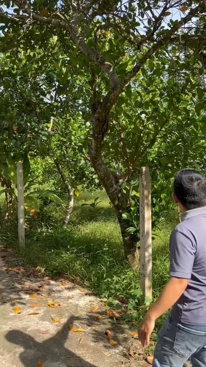 Đất nền 1000m² phường Bình Lộc, Long Khánh chỉ 1.1 tỷ - Cơ hội đầu tư sinh lời!