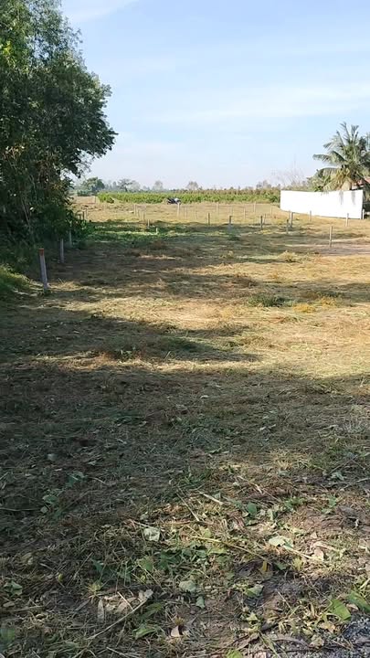 Đất nền xã Tân Lược, Vĩnh Thạnh 337m² giá 390 triệu - Sổ hồng chính chủ!