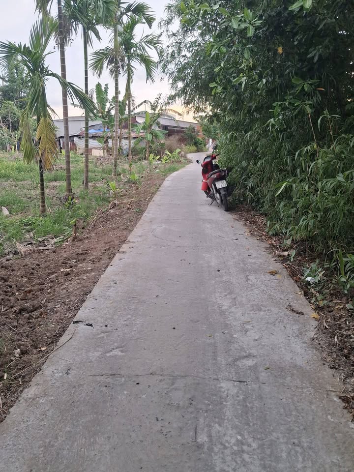 Đất thổ cư 150m² tại Tân Hòa, Cần Thơ - Giá tốt, sổ đỏ chính chủ!