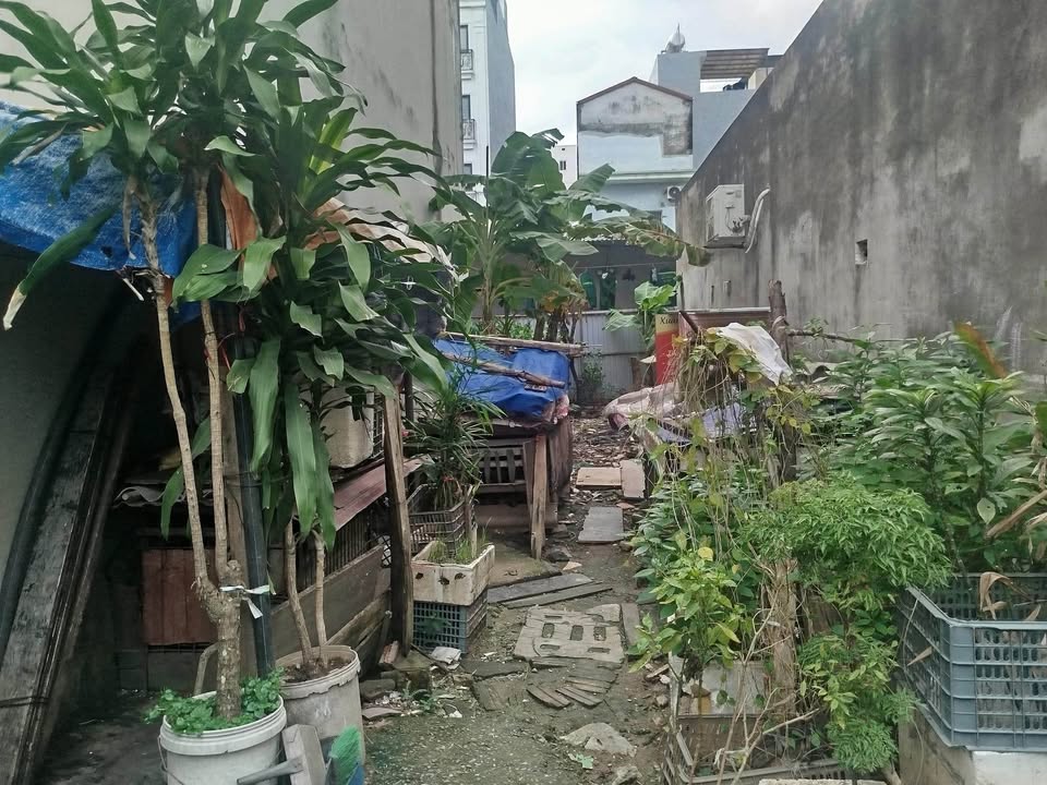 Đất Cổ Bi - Gia Lâm 33m² giá 4.25 tỷ - Tiềm năng phát triển cao!