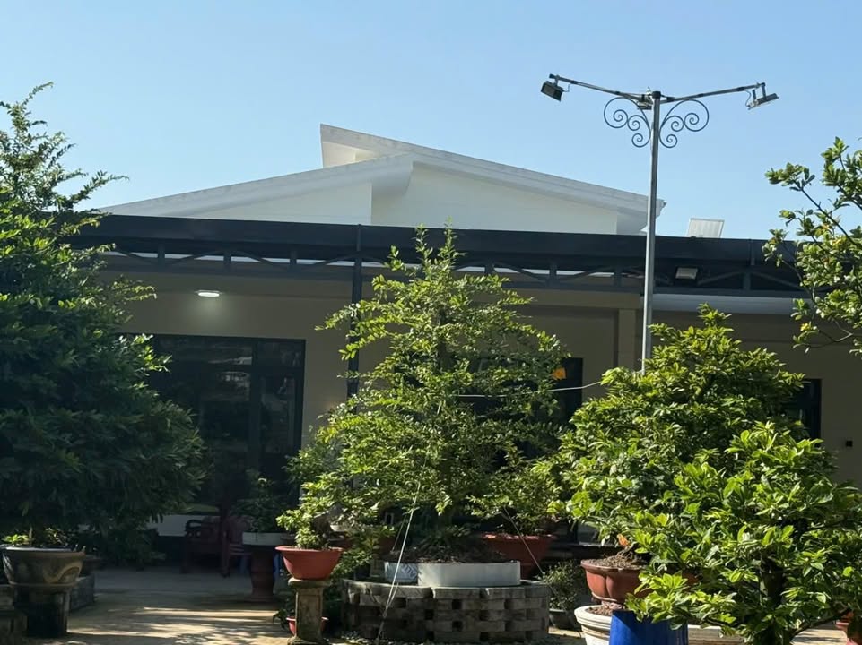 Nhà vườn nghỉ dưỡng tại Phú Tân, Bến Tre 960m² giá chỉ 3.5 tỷ - Không thể bỏ lỡ!