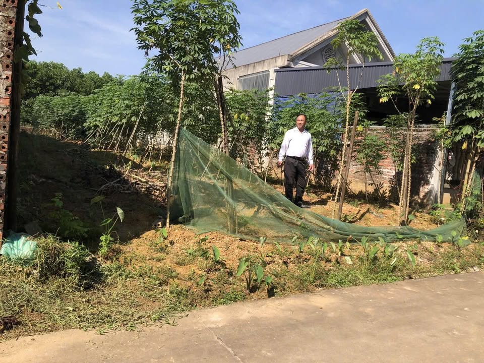 Đất thổ cư 240m² tại xã Mạn Lạn, Thanh Ba - Giá chỉ vài trăm triệu!