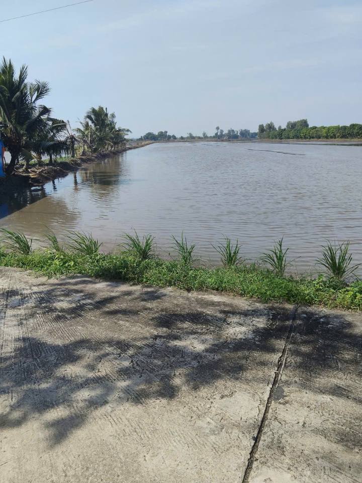 Đất ruộng Vĩnh Thông 14,000m² giá 230 triệu - Đầu tư lý tưởng!