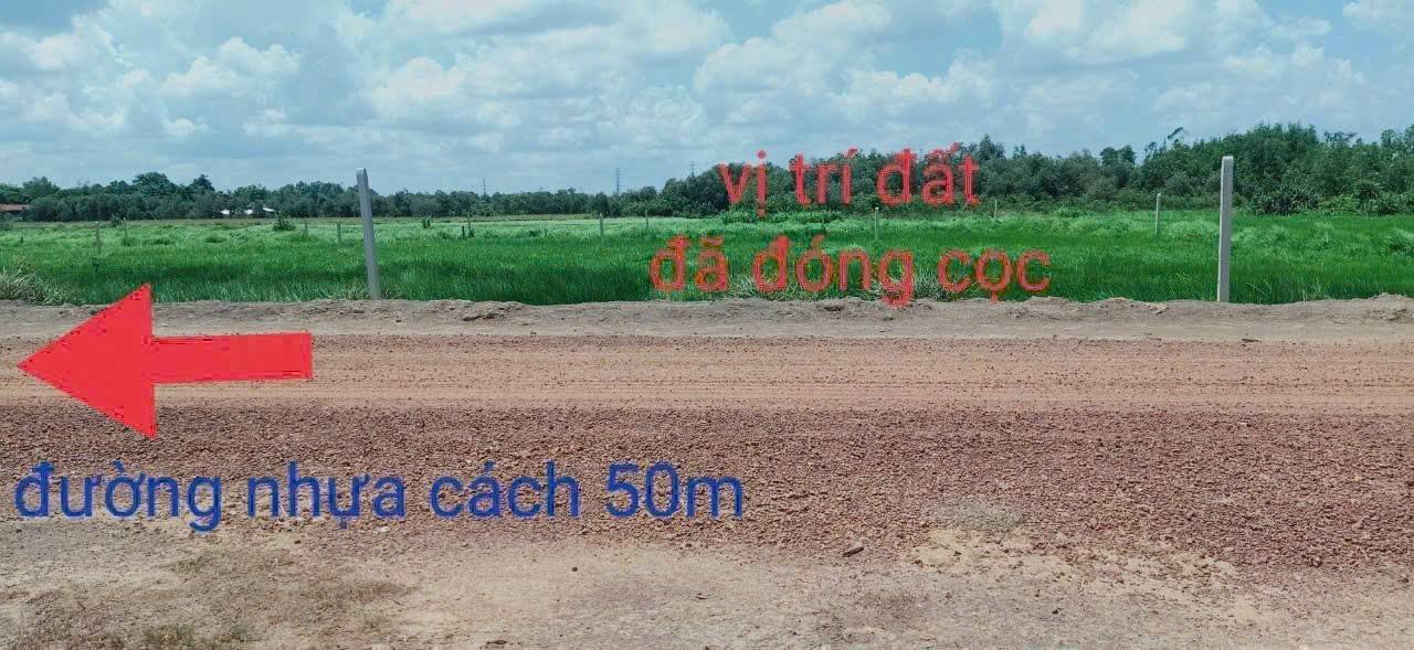 Đất vườn Thái Mỹ Củ Chi 500m² giá cắt lỗ 1.4 tỷ - Gần KCV, sổ hồng riêng!